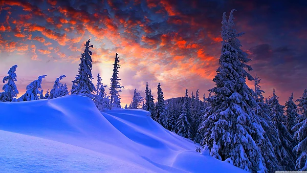 Foto proposta Lorem Ipsum is simply dummy text of the printing and typesetting industry.