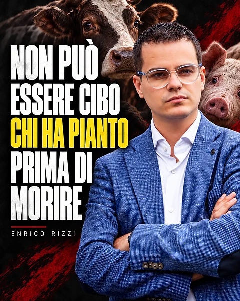 Foto proposta Condividi